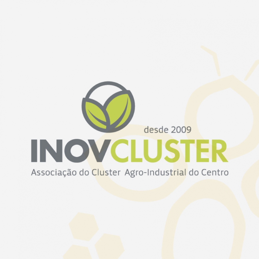 INOVCLUSTER  Associao do Cluster Agroindustrial do Centro